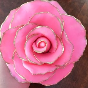 Meet your Posher, Karina